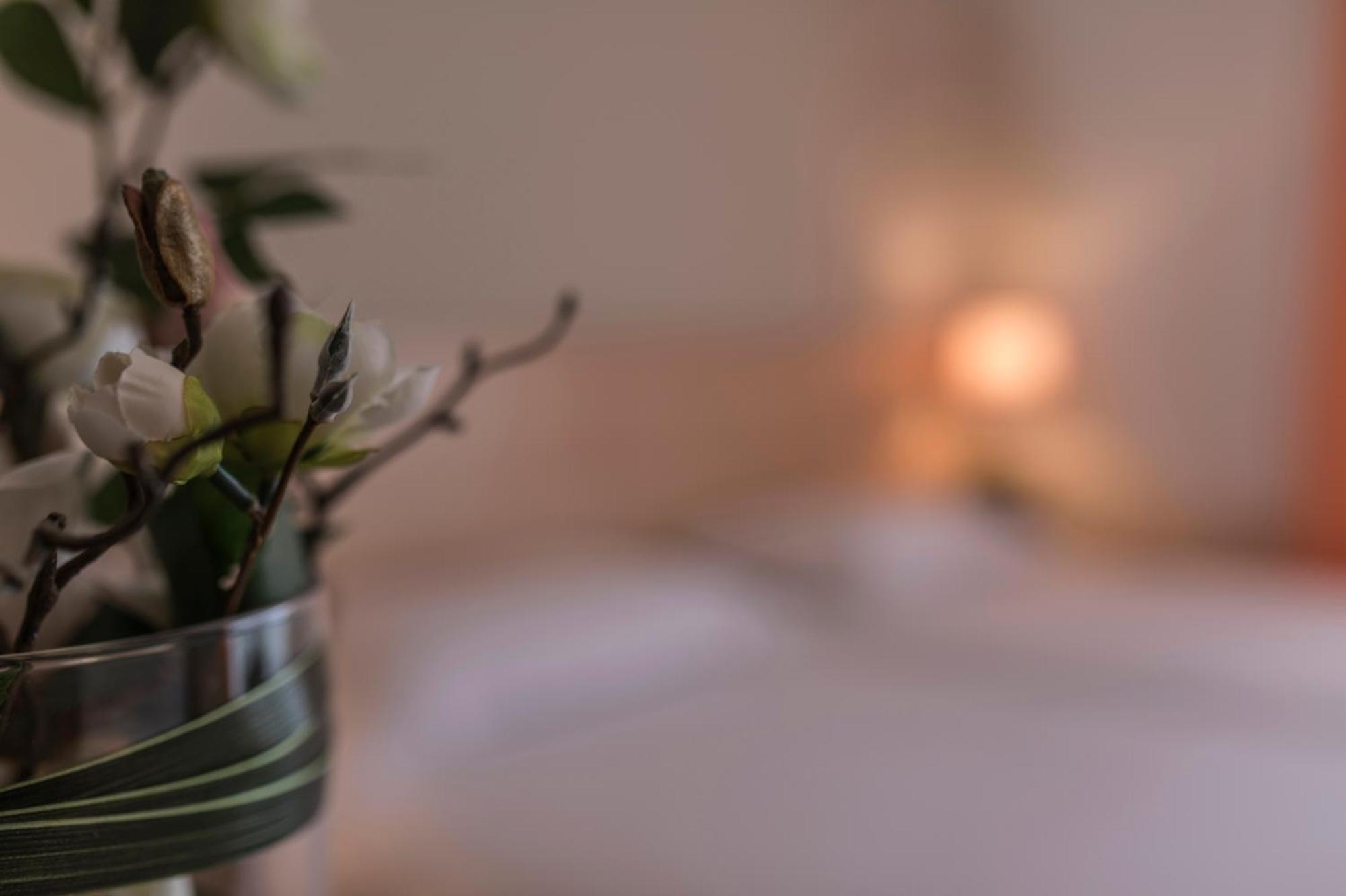 Hotel Donatello Ίμολα Εξωτερικό φωτογραφία